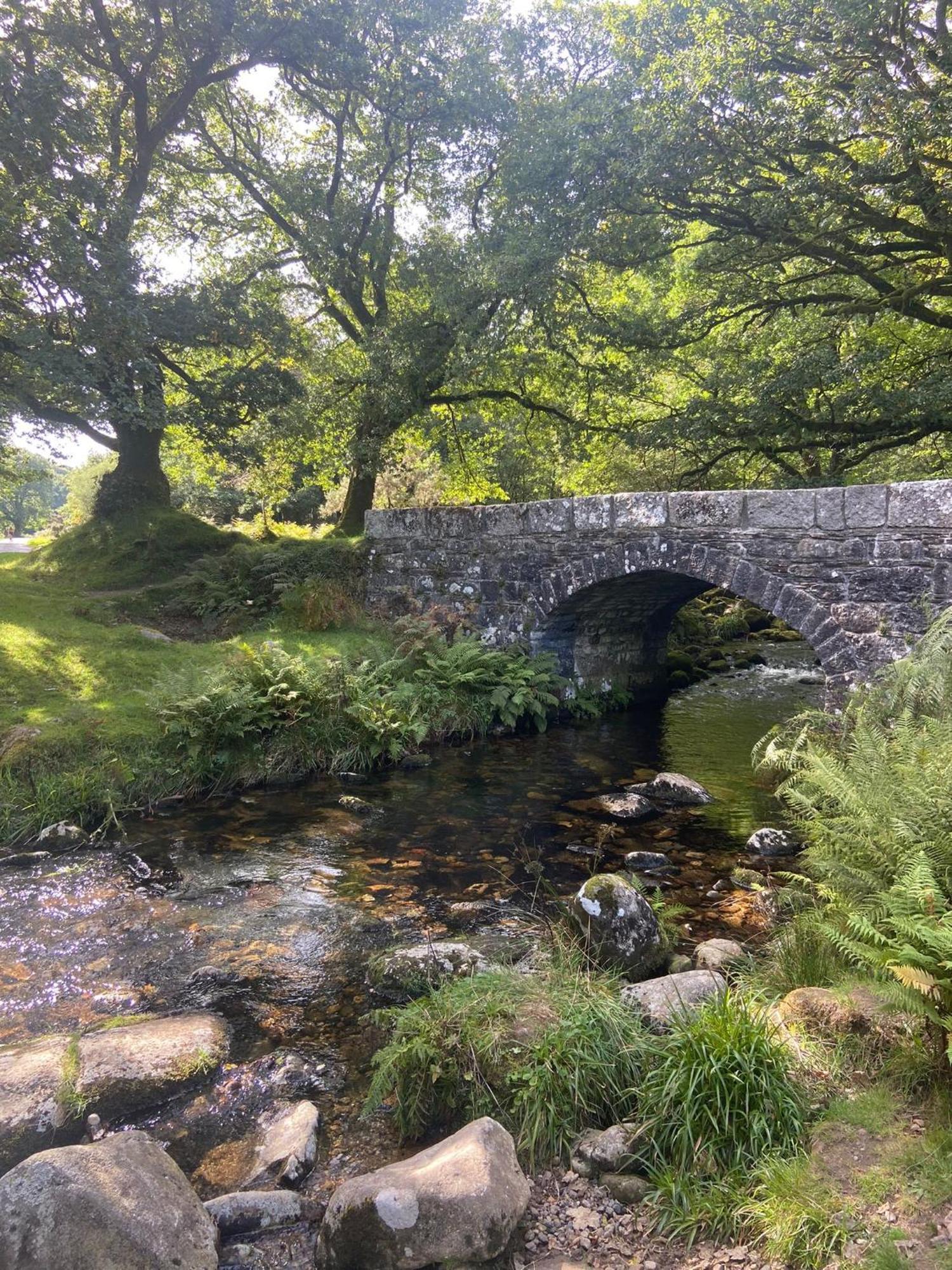 Maristow Cottages, Overlook Tamar Valley Dartmoor Plymouth Dış mekan fotoğraf