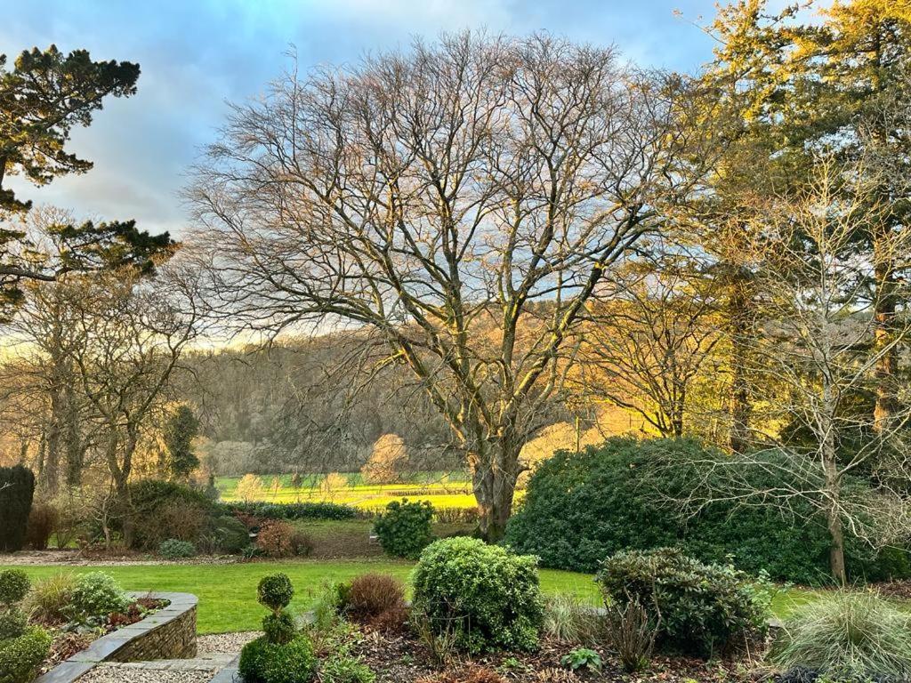 Maristow Cottages, Overlook Tamar Valley Dartmoor Plymouth Dış mekan fotoğraf