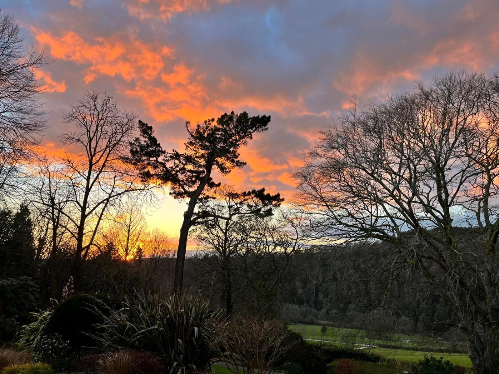 Maristow Cottages, Overlook Tamar Valley Dartmoor Plymouth Dış mekan fotoğraf